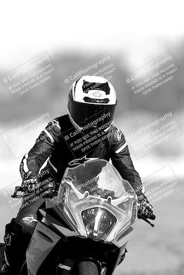 media/Nov-06-2023-Moto Forza (Mon) [[ce023d0744]]/4-Beginner Group/Session 3 (Track Exit)/